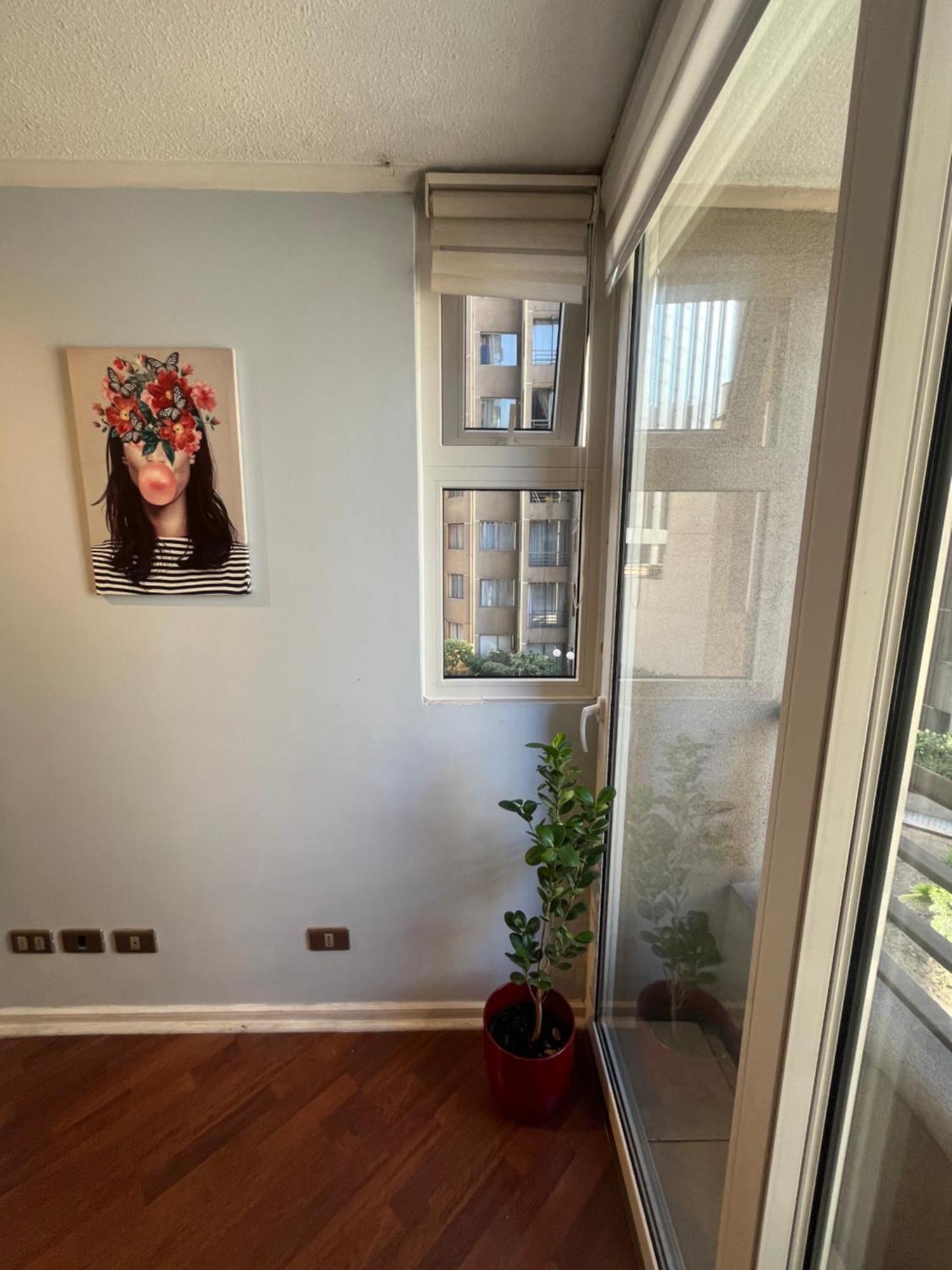 Lujoso Y Confortable Departamento De Valentina Santiago Dış mekan fotoğraf